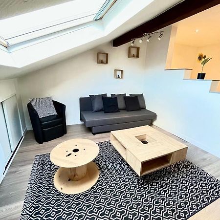 Pin'S - Magnifique Appartement Sarrebourg Kültér fotó