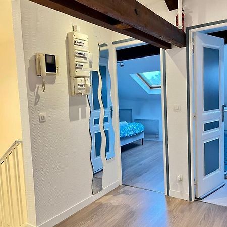 Pin'S - Magnifique Appartement Sarrebourg Kültér fotó
