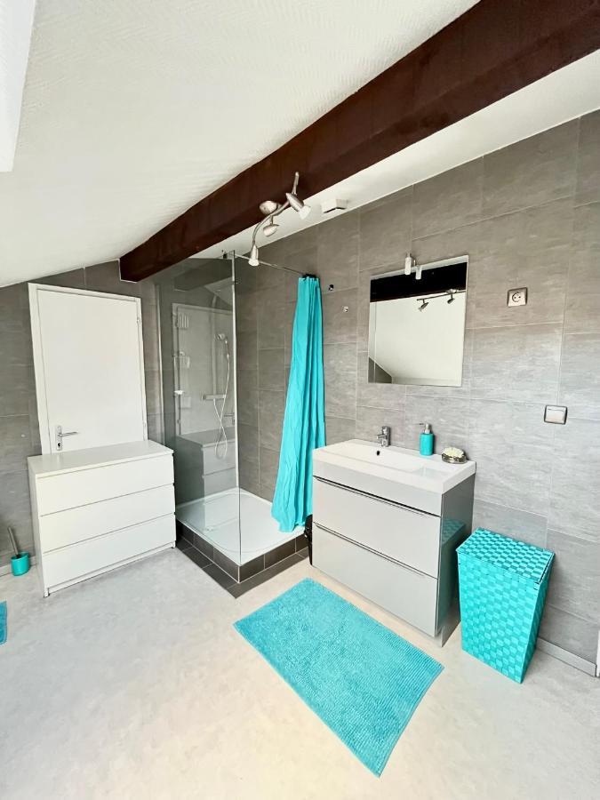 Pin'S - Magnifique Appartement Sarrebourg Kültér fotó