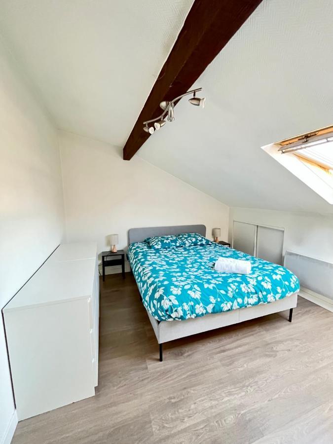 Pin'S - Magnifique Appartement Sarrebourg Kültér fotó
