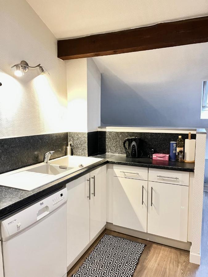 Pin'S - Magnifique Appartement Sarrebourg Kültér fotó