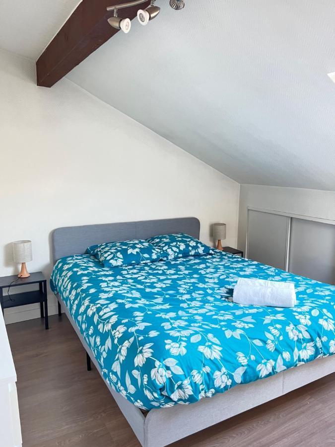Pin'S - Magnifique Appartement Sarrebourg Kültér fotó